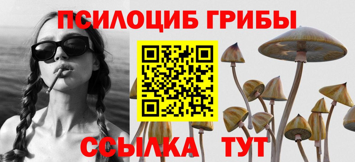 Печора  Галлюциногенные грибы Psilocybe  Вход с VPN 
